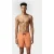 Arena Men’s  Pro-file Beach Boxer Logo Nespola-asphalt