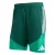 ADIDAS PERFORMANCE Sportbroek ‘Algerien 26’  groen / donkergroen / rood / wit