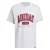 ADIDAS PERFORMANCE Functioneel shirt  lichtgrijs / wijnrood / lichtrood / zwart