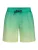 BLEND Zwembroek ‘ BHRislea ‘  groen