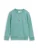 TOM TAILOR Sweatshirt  citroen / mintgroen / zwart