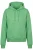 alife & kickin Sweatshirt ‘DanyaAK P’  groen