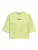 Only Onlcora S/s Print O-neck Ub Swt 15347037 Sweater 4992002 Lime Sherbet Endless Exotic