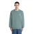 Sweatshirt Dickies Summerdale