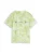 TOM TAILOR Shirt  lichtgroen / offwhite