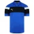 Puma Spirit II Heren Blauw Poloshirt