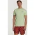 Shiwi Men Tee Tulum Palm Faded Mint Green