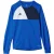 Adidas Kinder/kids assita 17 sweatshirt