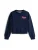 TOMMY HILFIGER Sweatshirt  navy / rood / wit