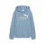 PUMA Hoodie ESS 2 COLOR NO. 1 LOGO HOODIE FL B