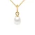 Hanger Zoetwater Pearl 5-6mm White Pear 18K geel goud Geleverd met ketting