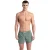 Arena Men’s  Pro_file Beach X-short Sage-royal-jade-green Qua