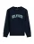 TOMMY HILFIGER Sweatshirt  navy / turquoise