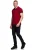 Contrast Polo Piqué Shirt Normale Pasvorm