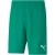 Puma Heren teamrise korte broek