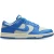 Nike Dunk Sneakers Heren – Zilver –