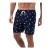 Falcon Swimshort Dray