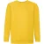 Fruit of the Loom Kinder/kids klassiek sweatshirt met inzet