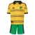 ADIDAS PERFORMANCE Functioneel shirt ‘Jamaika 26 x Bob’  geel / groen / zwart
