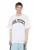 Colucci Shirt  wit