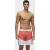 Arena Men’s  Team Stripe Bermuda Panel White-calypso Coral-bl