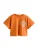 Next Shirt  pastelblauw / donkeroranje