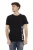 Zwemteam Graphic T-shirt