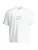 CHASIN’ Shirt ‘Darion’  grijs / wit