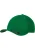 Flexfit Pet  groen