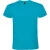 Roly Heren Atomic T-Shirt (Turquoise)