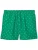 Calvin Klein Swimwear Zwemshorts  groen / wit