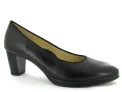 Ara 12-13436 Pumps