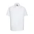 Shirt Russell Athletic Oxford