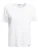 Influencer Shirt  wit