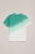 WE Fashion – Jongens T-shirt met dip-dye – Regular fit – Groenblauw – Katoen –