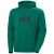 Hoodie Helly Hansen Logo 2.0