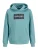Jack & Jones Junior Sweatshirt ‘JJCOLE’  smaragd / zwart / wit