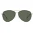 Hugo Boss 1466/F/SK Zonnebril (Groen/Goud)
