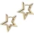 OTAZU Golden Star Earrings