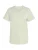 ADIDAS TERREX Functioneel shirt ‘Mountain’  pastelgroen