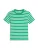 TOMMY HILFIGER Shirt ‘CODY’  groen / wit