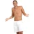 Arena Men’s  Pro_file Beach Bermuda Print White-soft Green