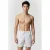 Arena Men’s  Pro_file Beach Bermuda Print White-soft Green