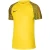 Nike Dri-fit jersey kinderen/kinderen