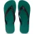 Uzurii Python black bosgroen