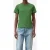 Closed Basic T-shirt Matcha Green