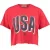 America Today Elvy Usa Tomato