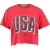 America Today Elvy Usa Tomato
