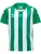 Hummel Functioneel shirt ‘Core XK’  groen / wit