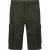 Regatta Herenhorebay vintage cargo shorts